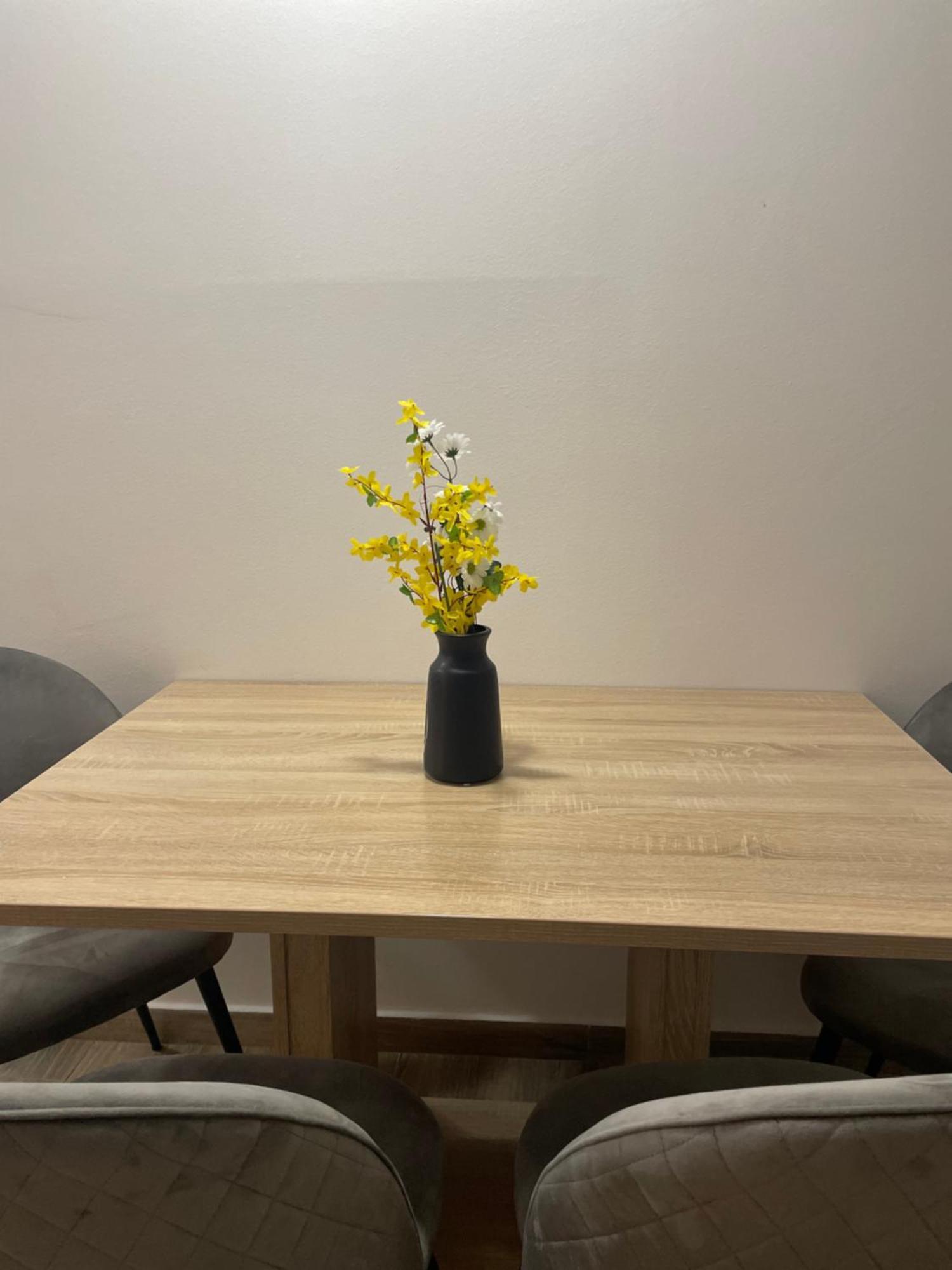 Apartmán Danica *