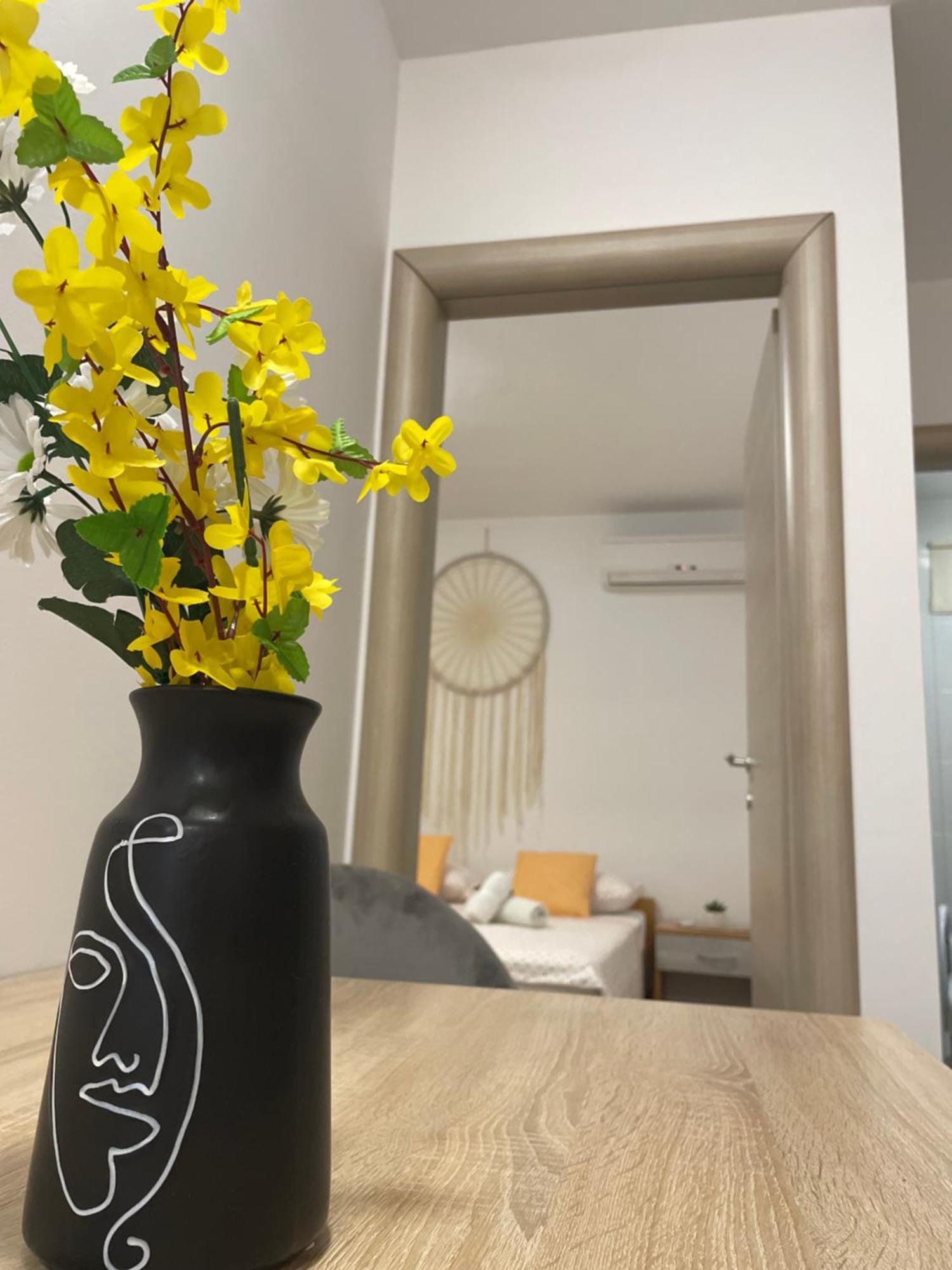 Apartmán Danica Nerezine